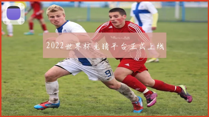 2022世界杯竞猜平台正式上线