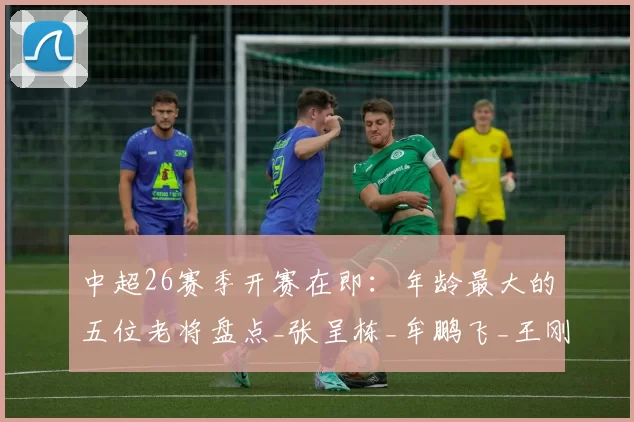 中超26赛季开赛在即：年龄最大的五位老将盘点_张呈栋_牟鹏飞_王刚