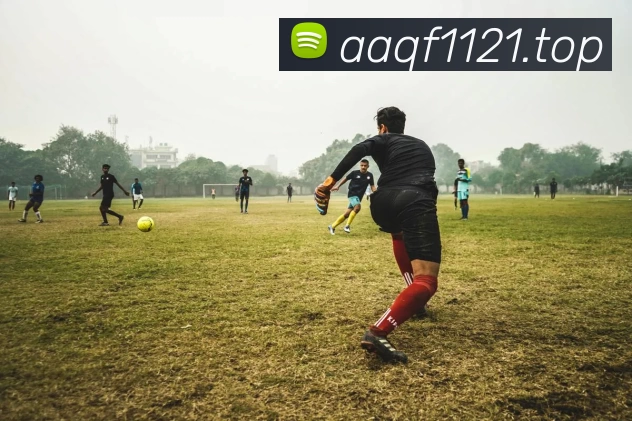 开云(中国)Kaiyun·官方网站 - 登录入口APP 体育赛事宣传图